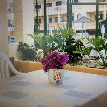 Apartment Holiday